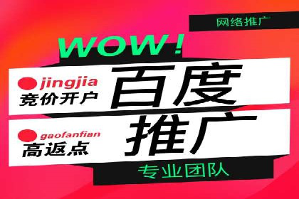 竞价推广实战：案例分析行业领军企业的成功之道
